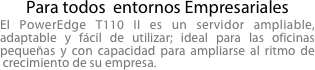 Para todos  entornos Empresariales
El PowerEdge T110 II es un servidor ampliable, adaptable y fácil de utilizar; ideal para las oficinas pequeñas y con capacidad para ampliarse al ritmo de crecimiento de su empresa.